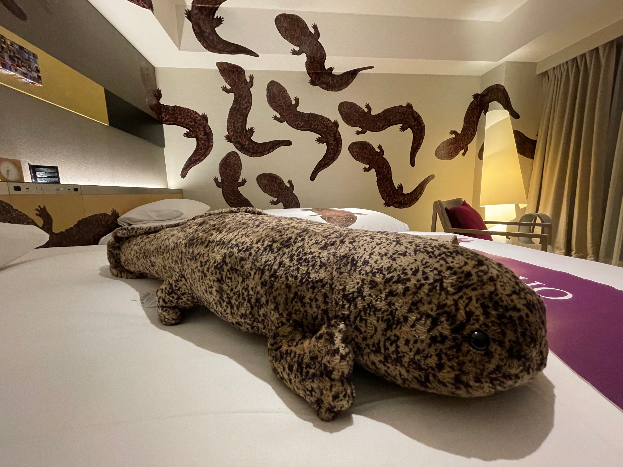 ห้องนอนซาลาแมนเดอร์