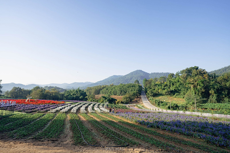 Khlong Lan Flora Park ค่าเข้า