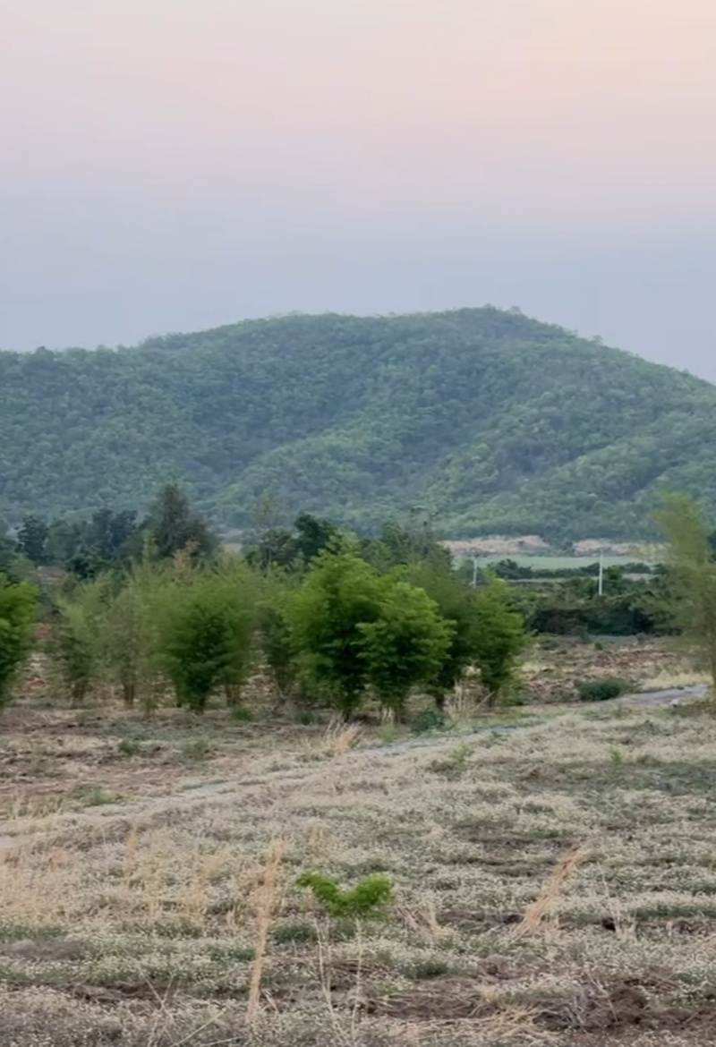 บ้านสวน โบว์ เมลดา