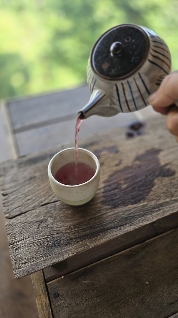 ร้านคาเฟ่บนดอย บ้านป่าเมืองเถื่อนดอยสกาด