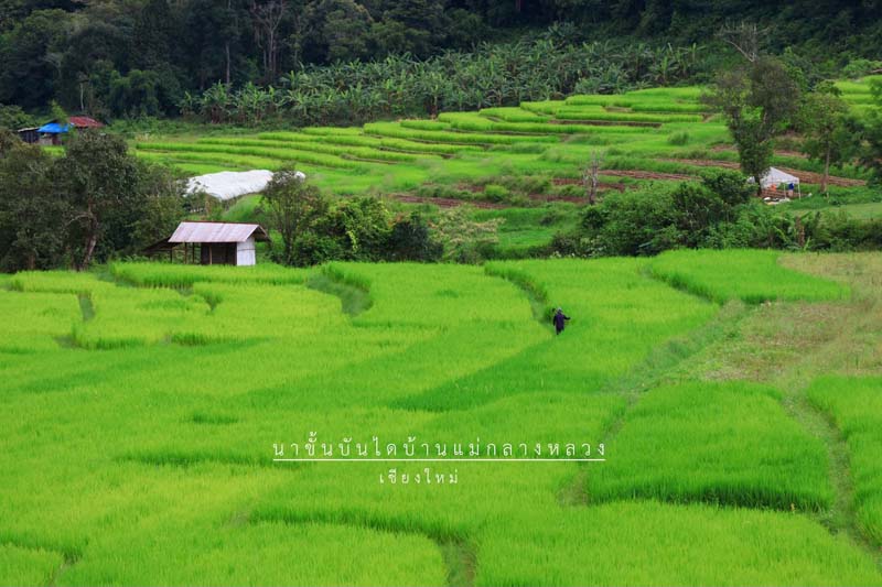 ที่เที่ยวหน้าฝน