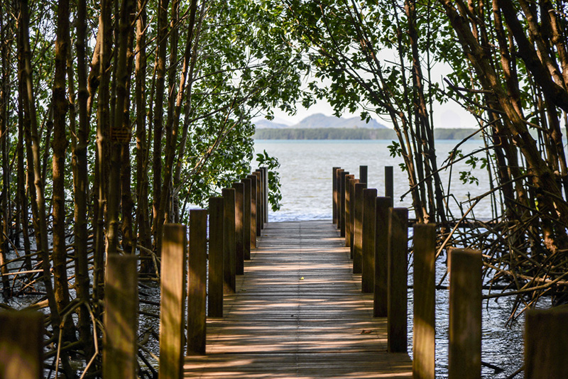 เที่ยวเดือนมีนาคม 66