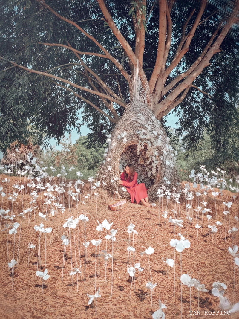 งานรักดอกราชบุรี