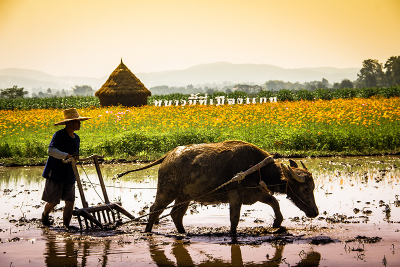 หนาวนี้ที่เมืองแกน 2569