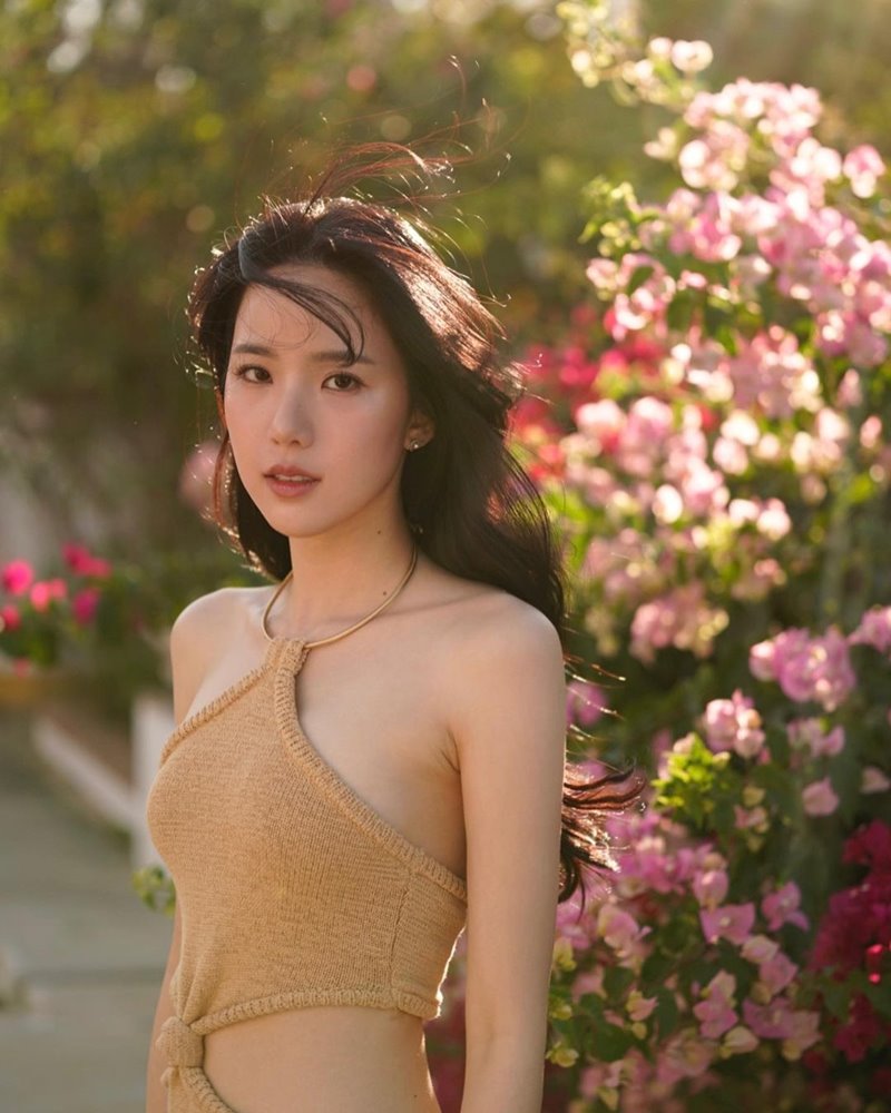 เจนิส เจณิสตา