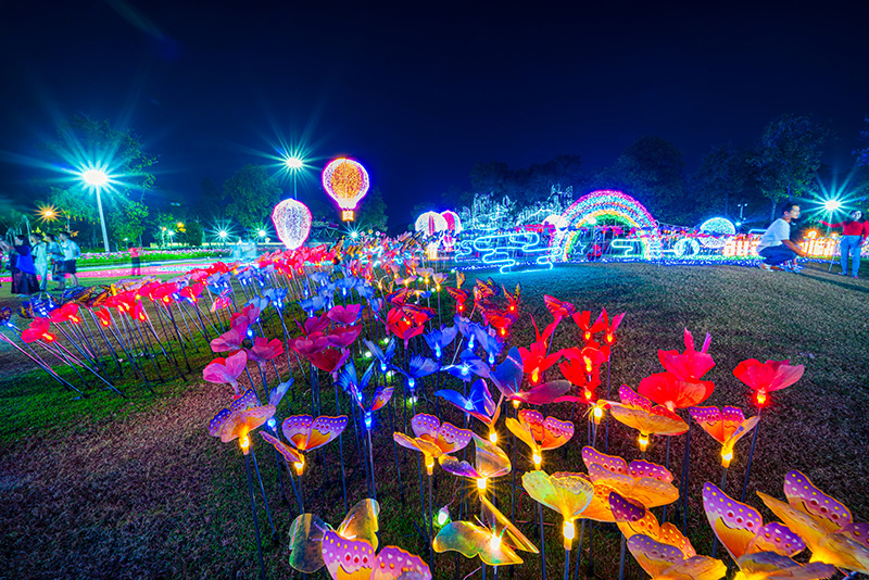 CHARMING Chiang Mai Flower Festival ไฟประดับ