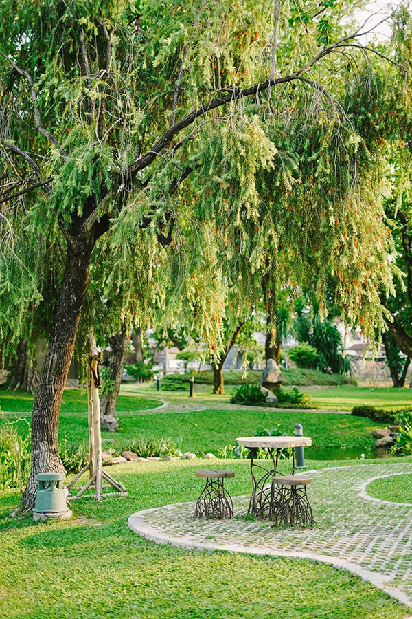 ร้านกาแฟเชียงใหม่ ธรรมชาติ