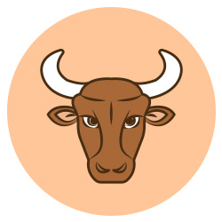 ดูดวง