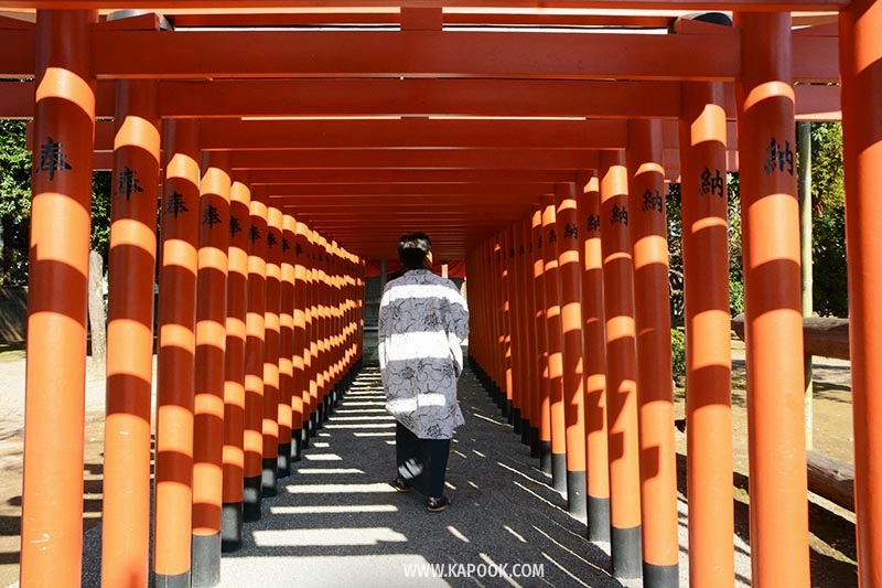 เที่ยวคุมาโมโตะ ญี่ปุ่น