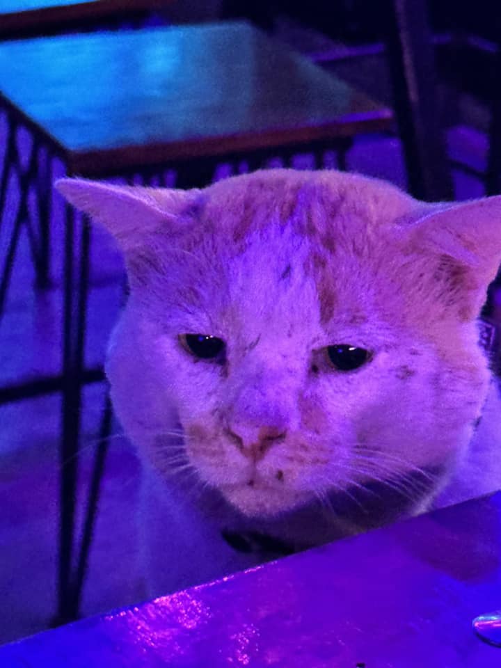 เด็กเอน