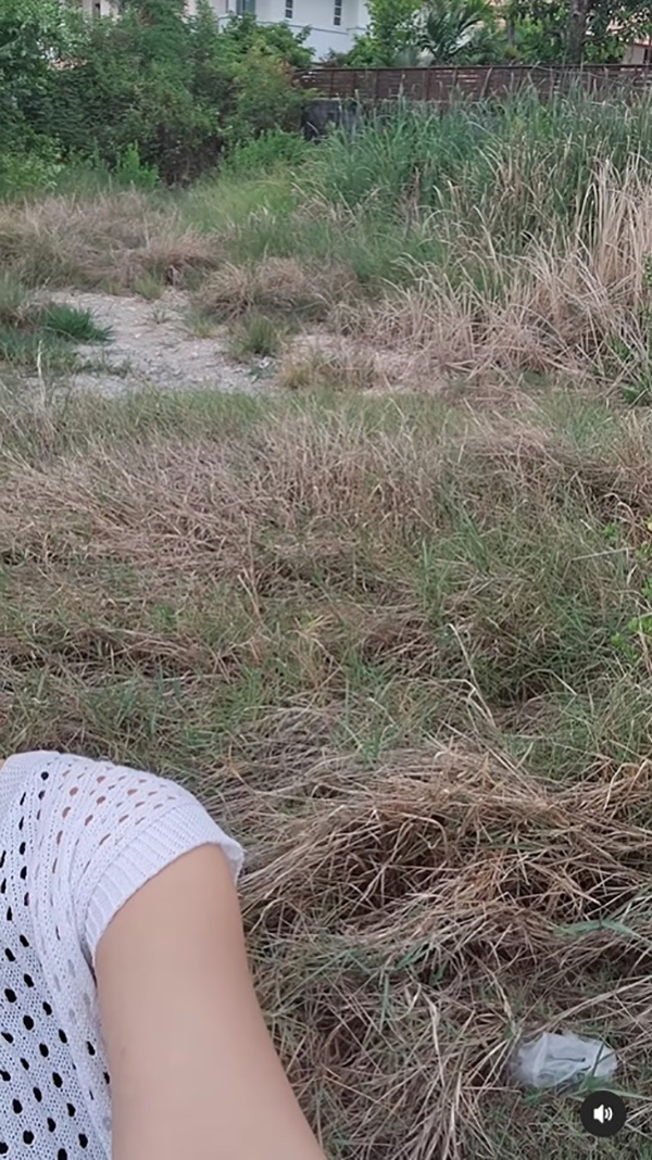 ชมพู่ ก่อนบ่าย