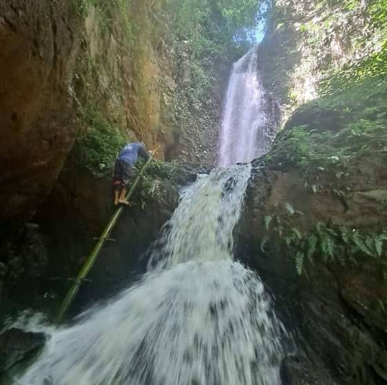 น้ำตกป่าคา