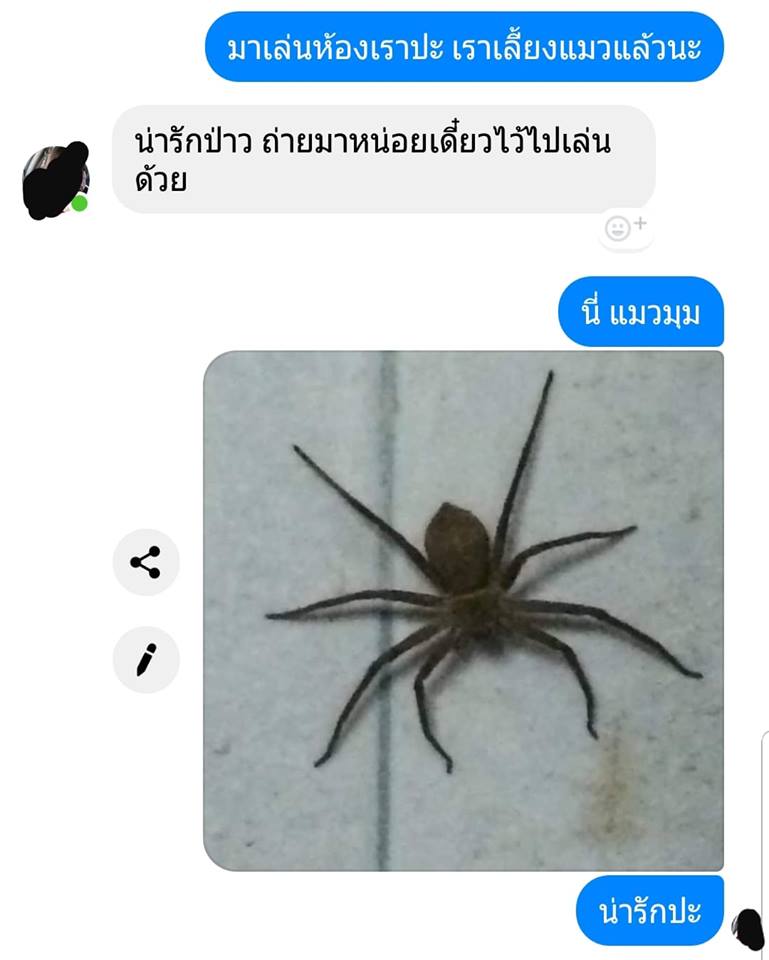 เทคนิคจีบสาว