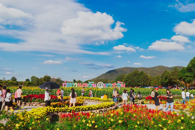 โครงการศึกษาวิธีการฟื้นฟูที่ดินเสื่อมโทรมเขาชะงุ้ม