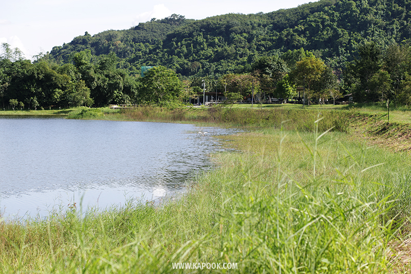 ป่าวังจันทร์