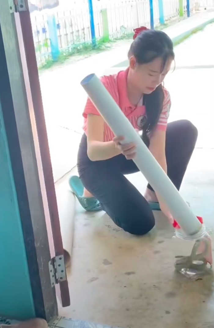 จับงูเขียว