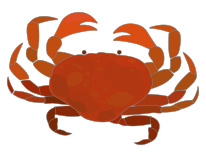 ดูดวงรายสัปดาห์