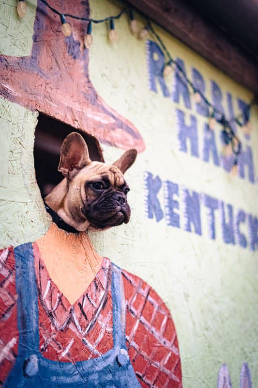 Wilbur