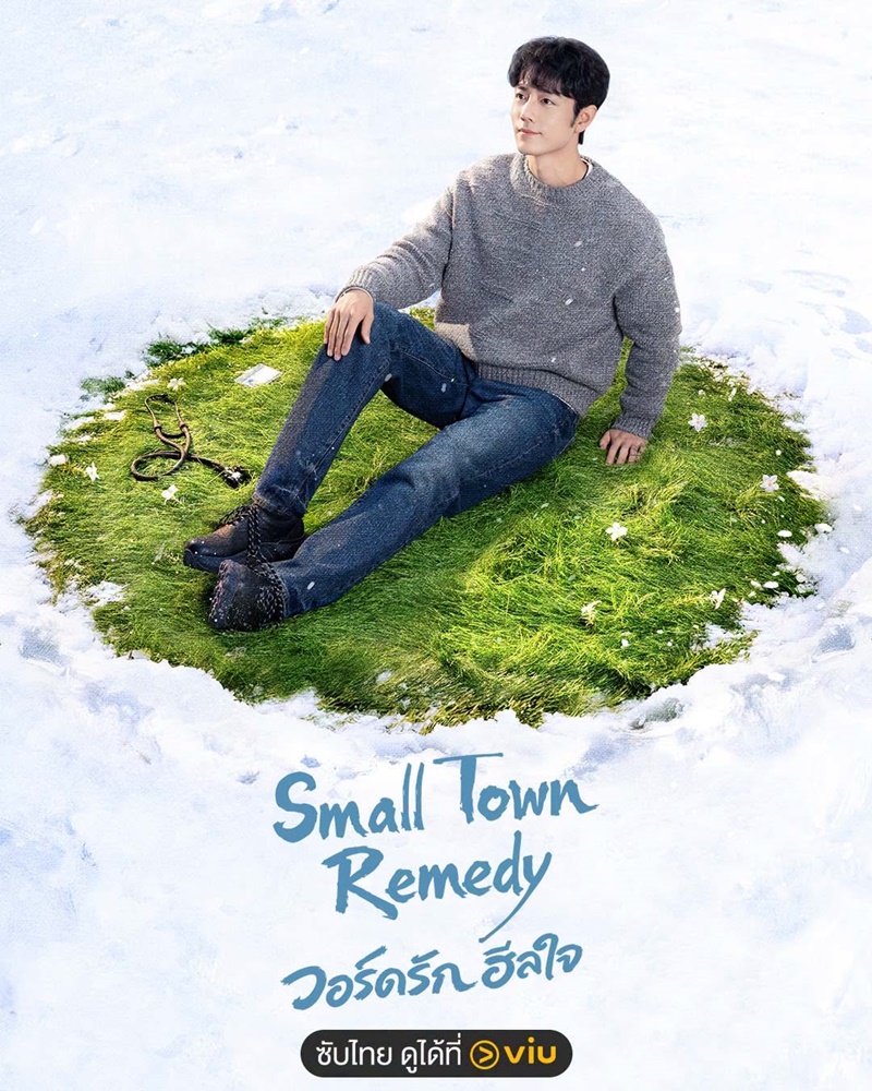 วอร์ดรักฮีลใจ ซีรีส์จีน Small Town Remedy