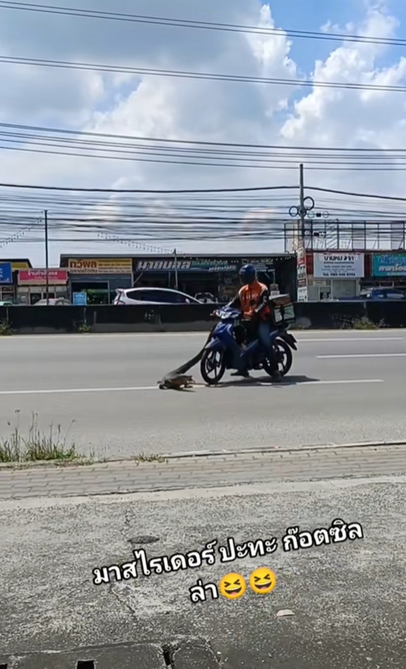 ตัวเงินตัวทอง