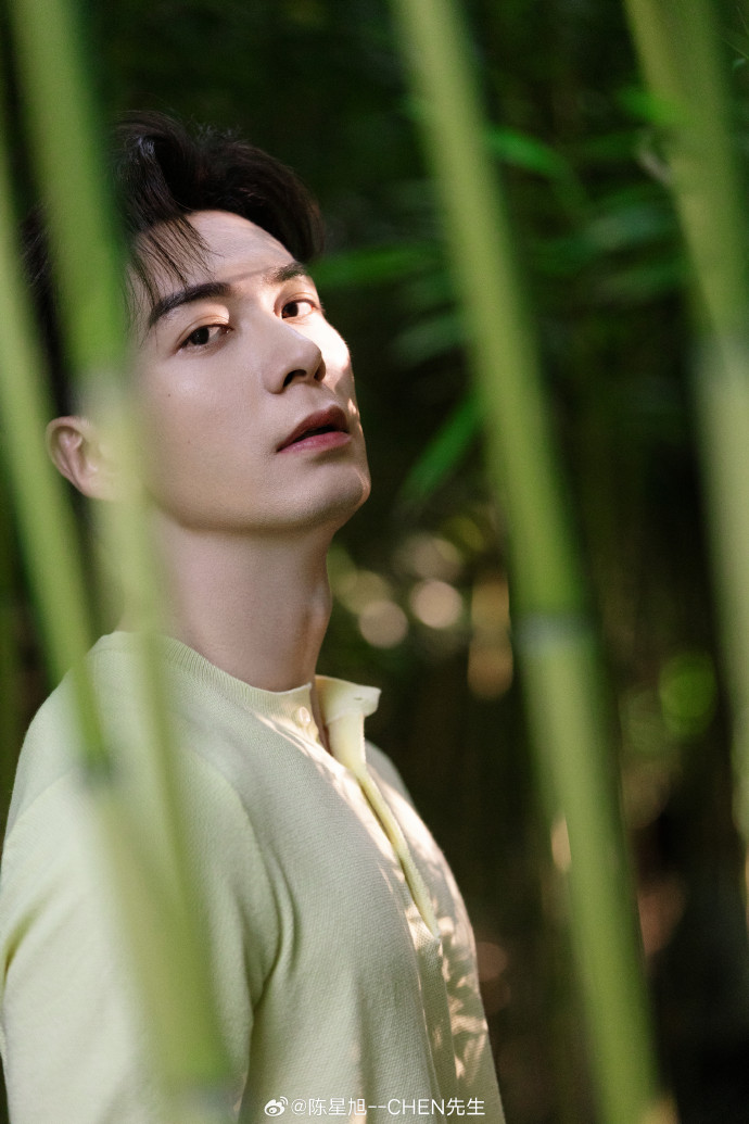 เฉินซิงซวี่ chen xingxu