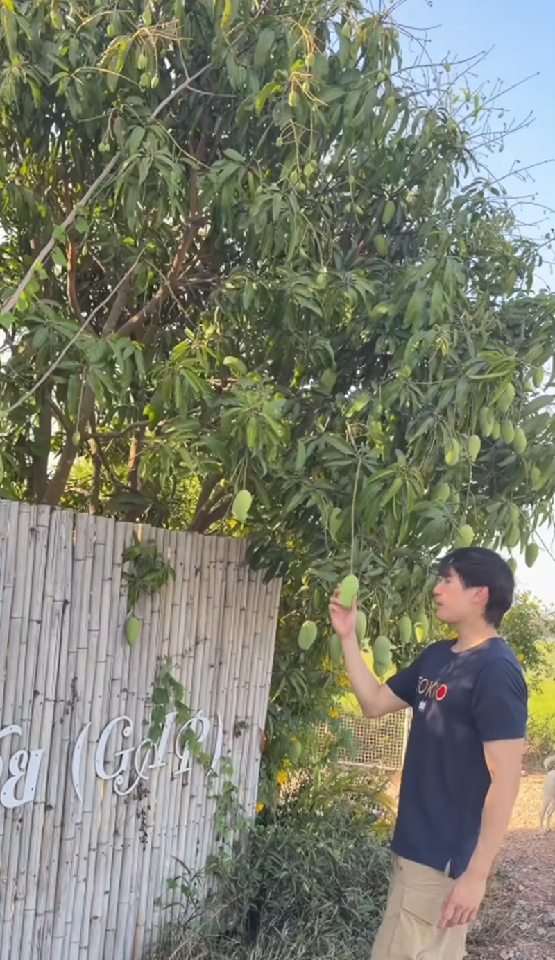 เคน ภูภูมิ