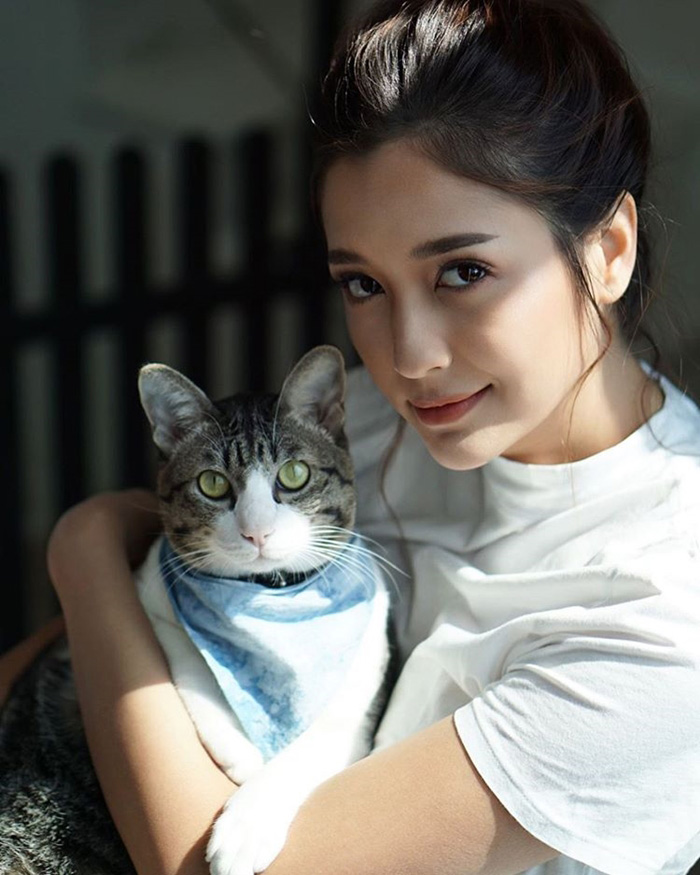 มารี เบรินเนอร์ แมว
