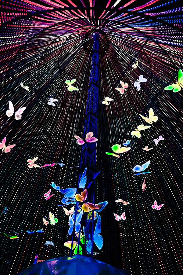 เที่ยวงาน A Magical Universe of Light & Multimedia สิงคโปร์
