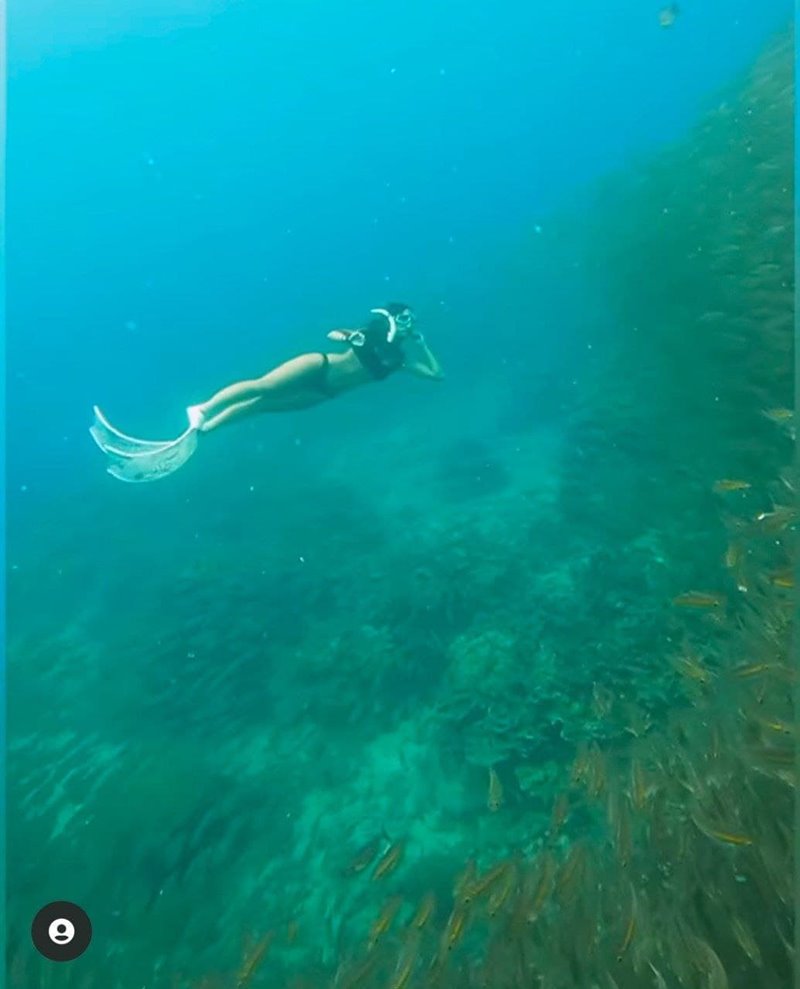 นท เดอะสตาร์