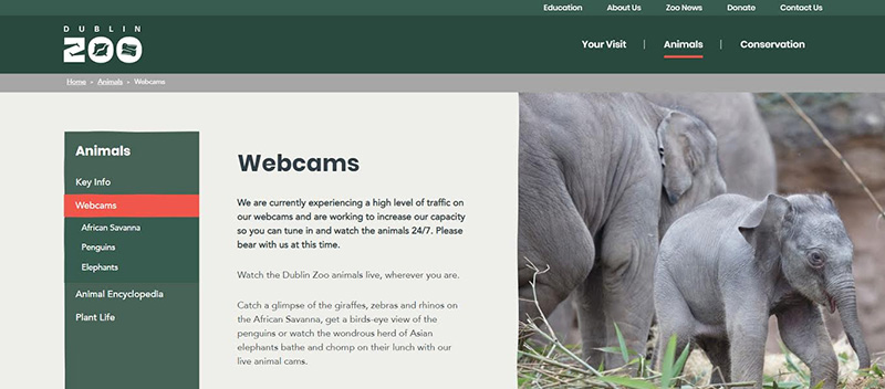 สวนสัตว์ออนไลน์