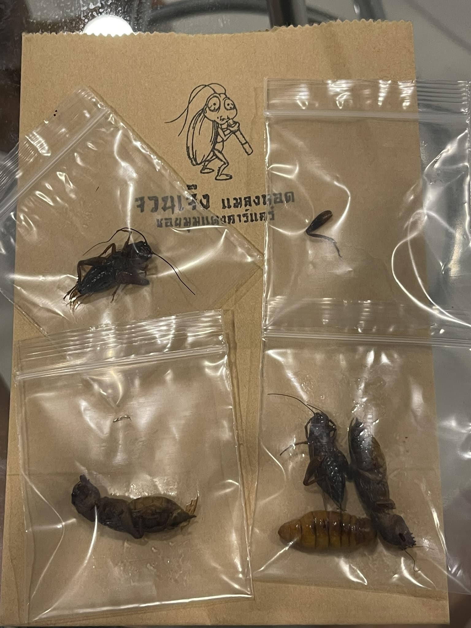 ชื่อร้าน