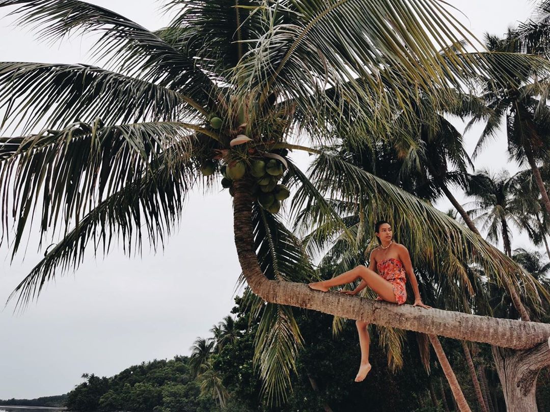 เทย่า โรเจอร์