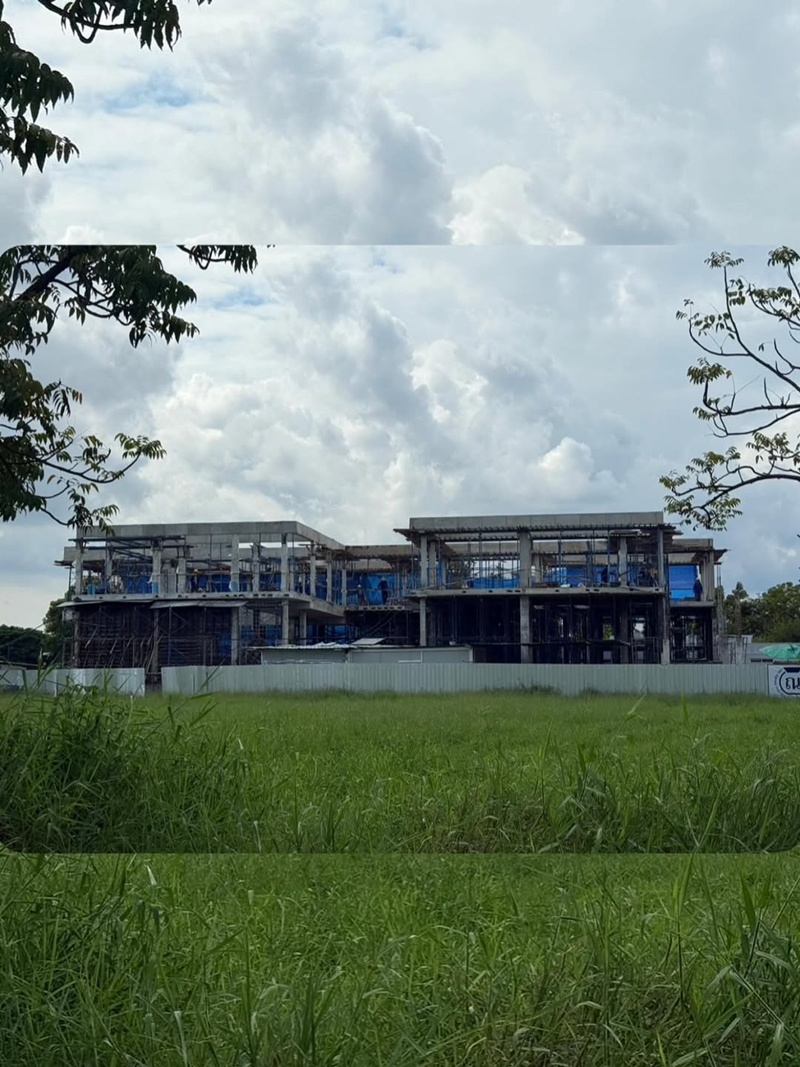 ปุ้มปุ้ย พรรณทิพา