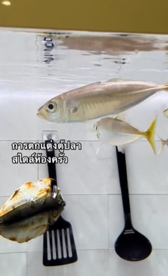 ตกแต่งตู้ปลา