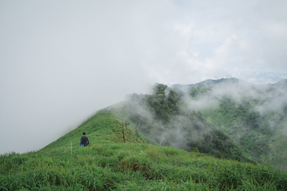 เที่ยวดอยหน้าหนาว