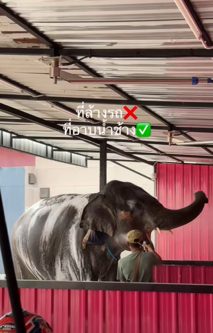 อาบน้ำช้าง