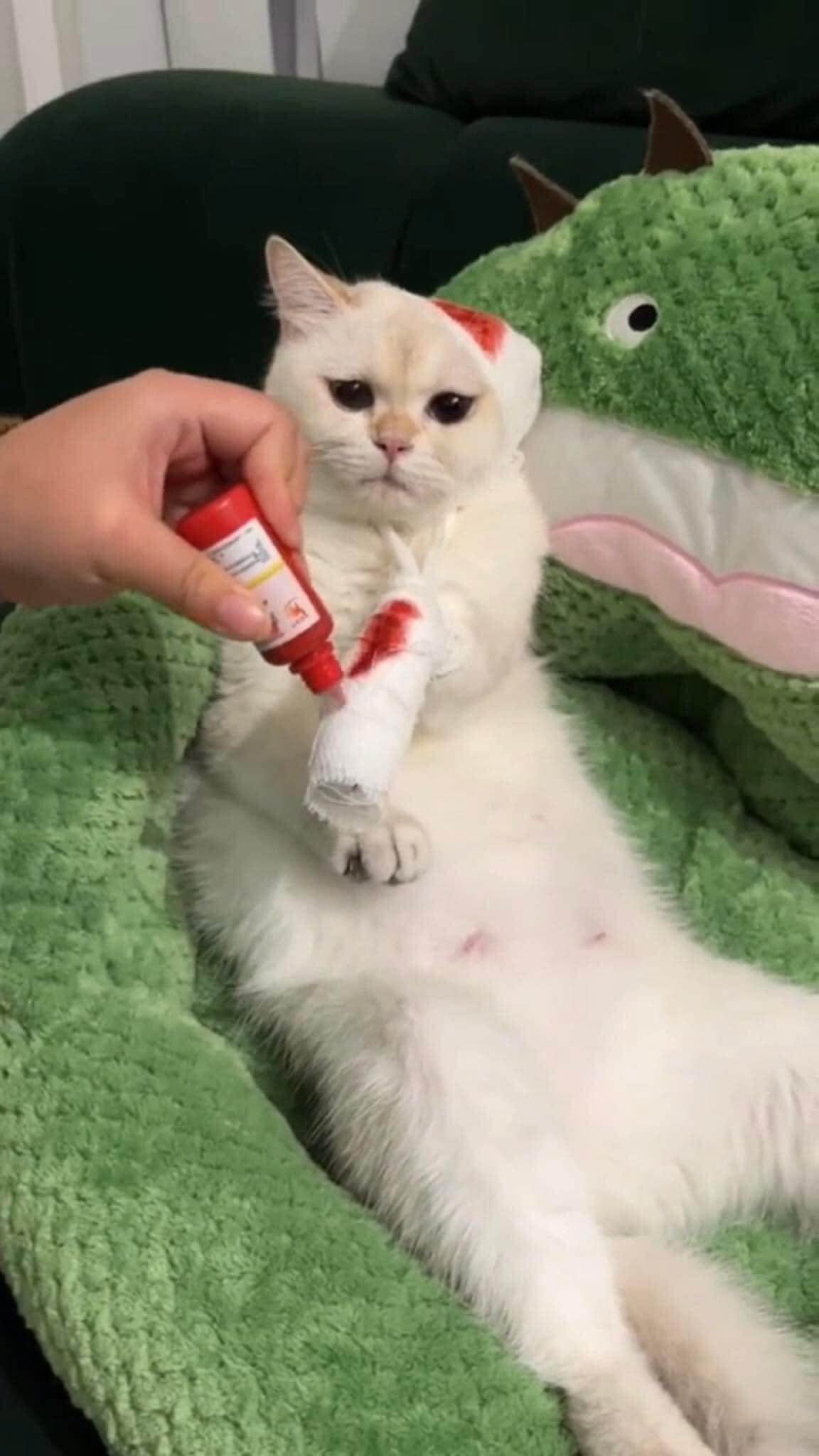 ขอเงินแม่
