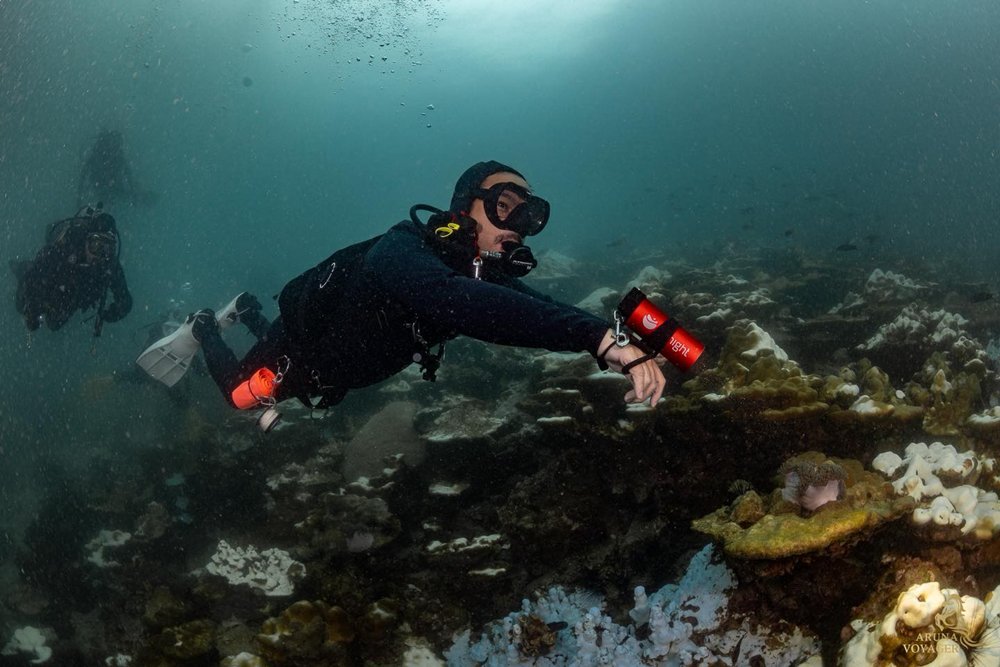 กวาง AB Normal เตือนนักเรียนดำน้ำ อย่าทำตามคลิปนักอนุรักษ์