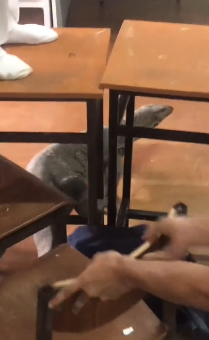 ตัวเงินตัวทอง