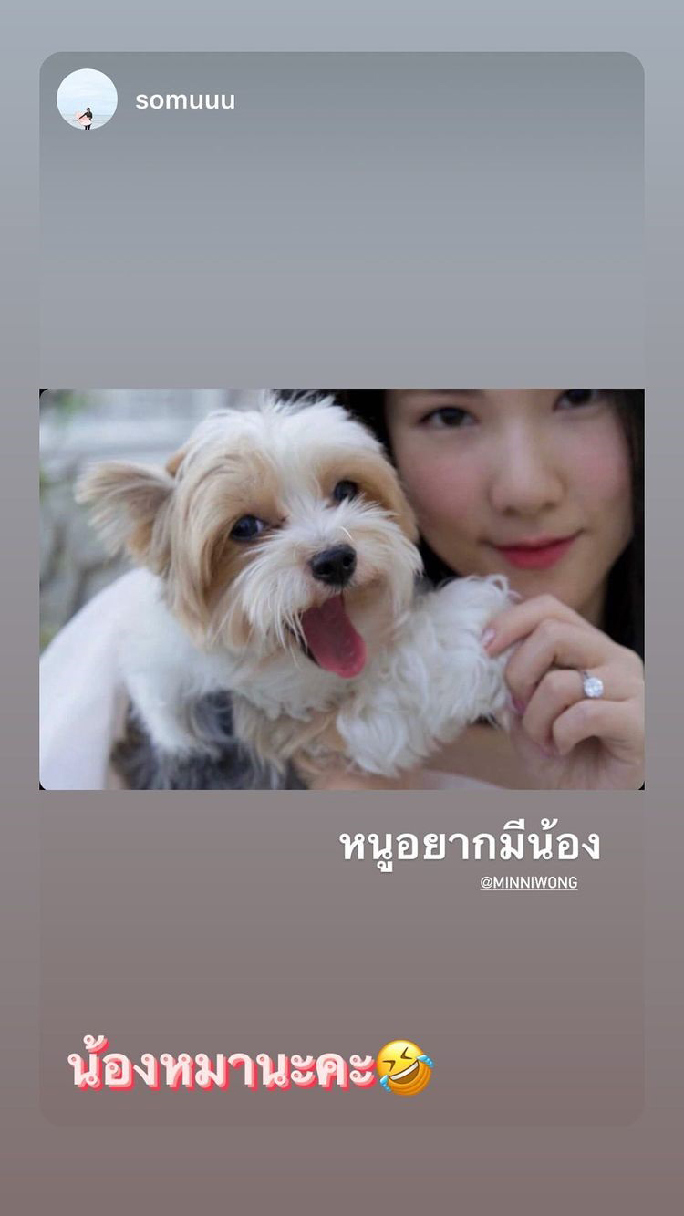 มีน กามิกาเซ่ แต่งงาน