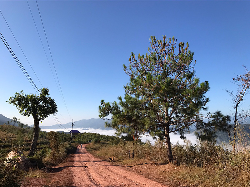 บ้านห้วยโทน