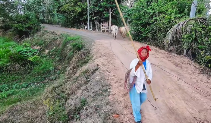 โดรนบิน