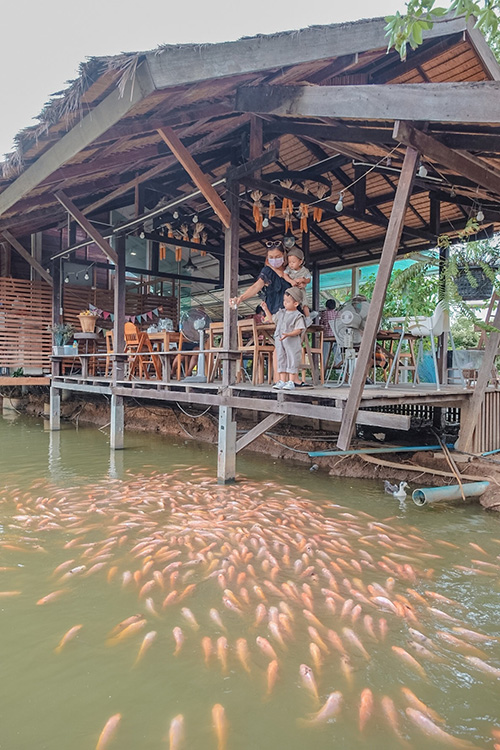 The Ugly Duckling Learning Farm