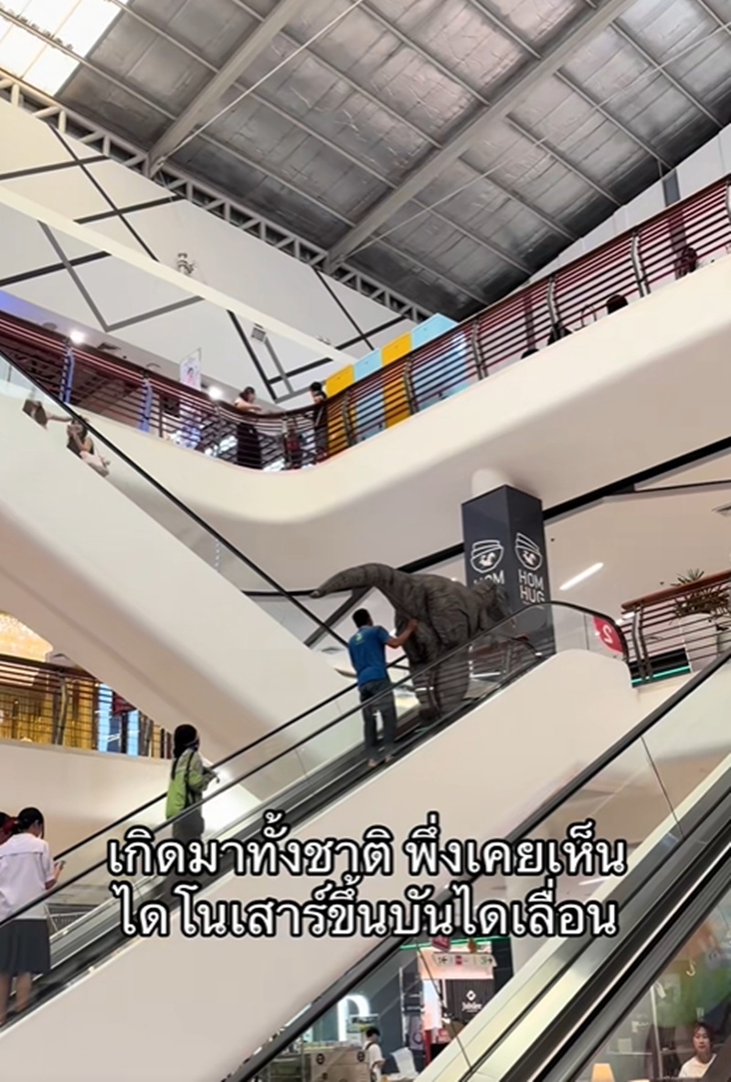 ไดโนเสาร์ขึ้นบันไดเลื่อน