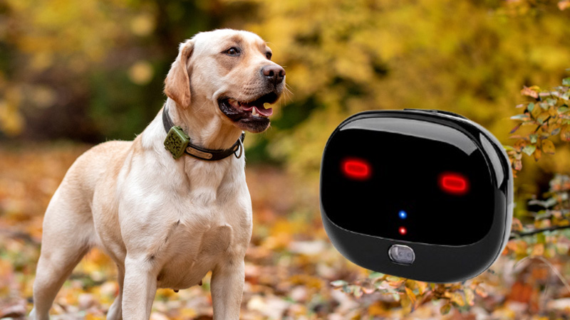 Pet Tracker AIS Pet Tracker