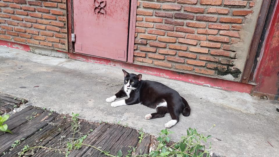 ตลาดนัดรถไฟรัชดา