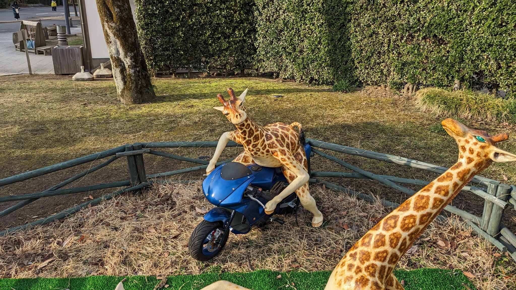 รูปปั้นยีราฟ