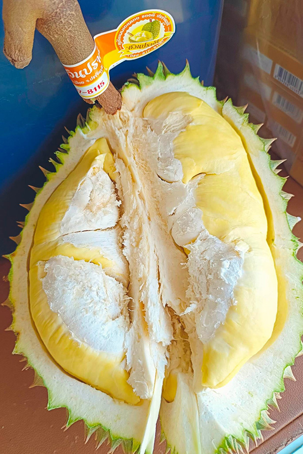 ทุเรียนปราจีนบุรี 2566