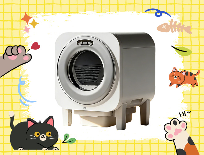 ห้องน้ำแมวอัจฉริยะ น่าซื้อ 2569