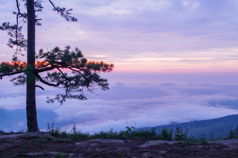 เที่ยววันหยุด